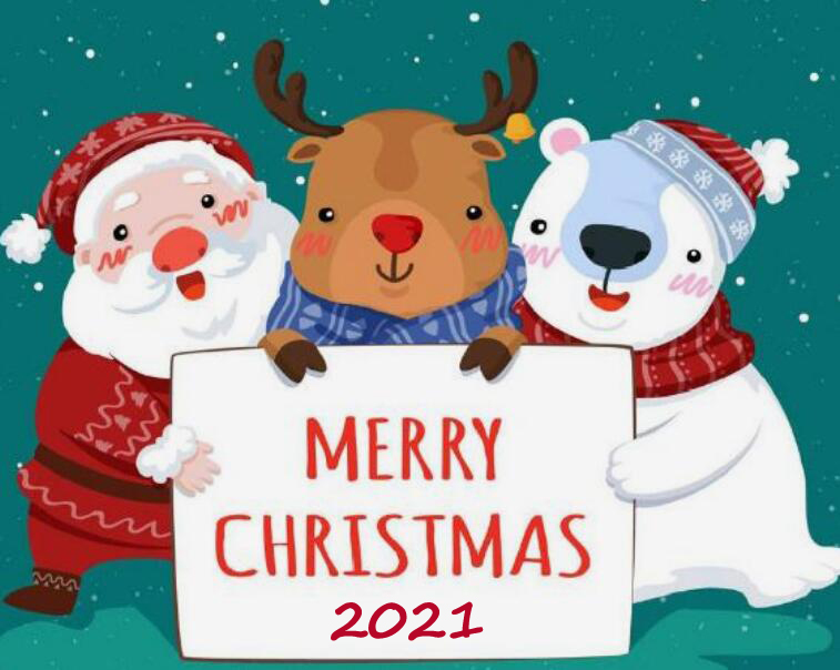 Merry Christmas ！！