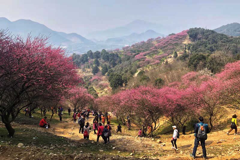 2022 hope of spring .