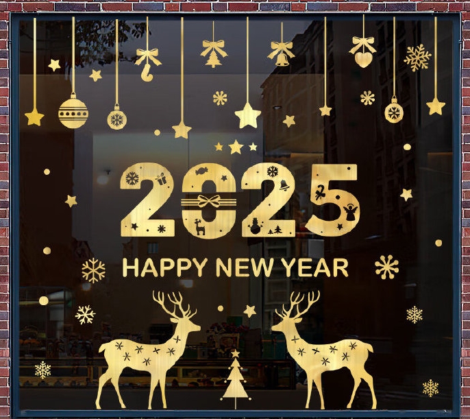 Merry Christmas in 2025 ！